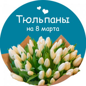 Купить тюльпаны в Междуреченске
